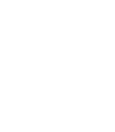 partner - web development and SEO Auckland