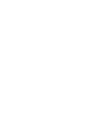 partner - web development and SEO Auckland